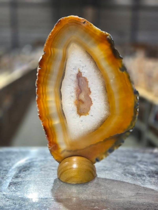 BF111 Agaatschijf in Houder