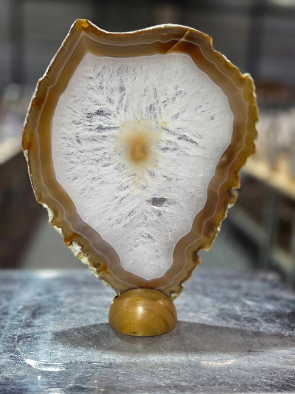 BF137 Agaatschijf in Houder