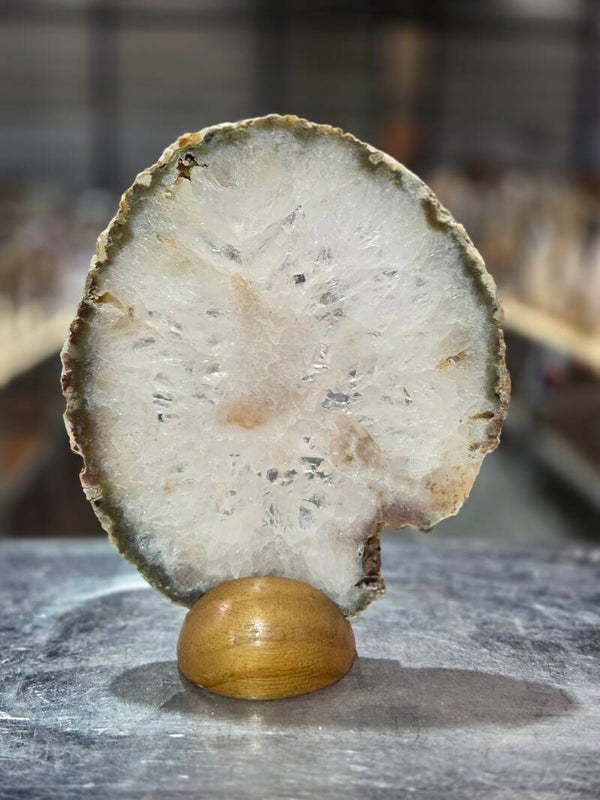 BF139 Agaatschijf in Houder