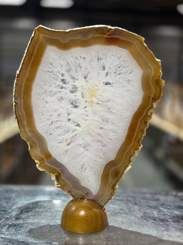 BF144 Agaatschijf in Houder