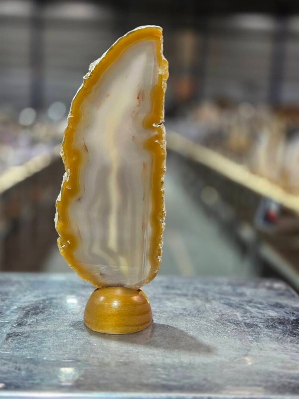 BF168 Agaatschijf in Houder