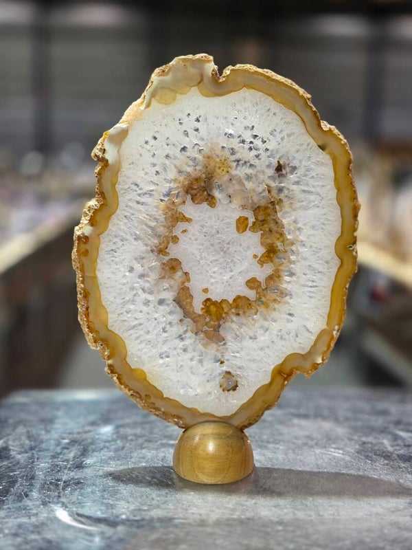 BF169 Agaatschijf in Houder