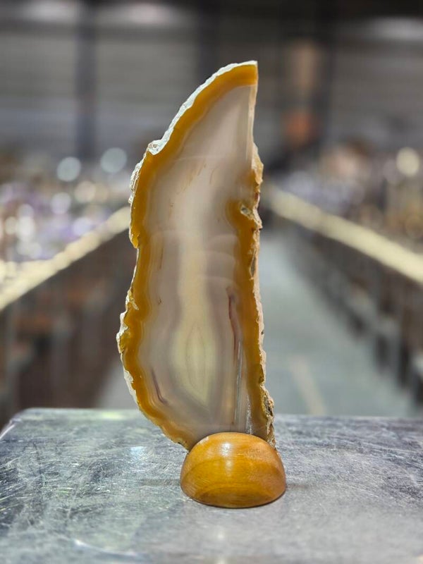 BF176 Agaatschijf in Houder