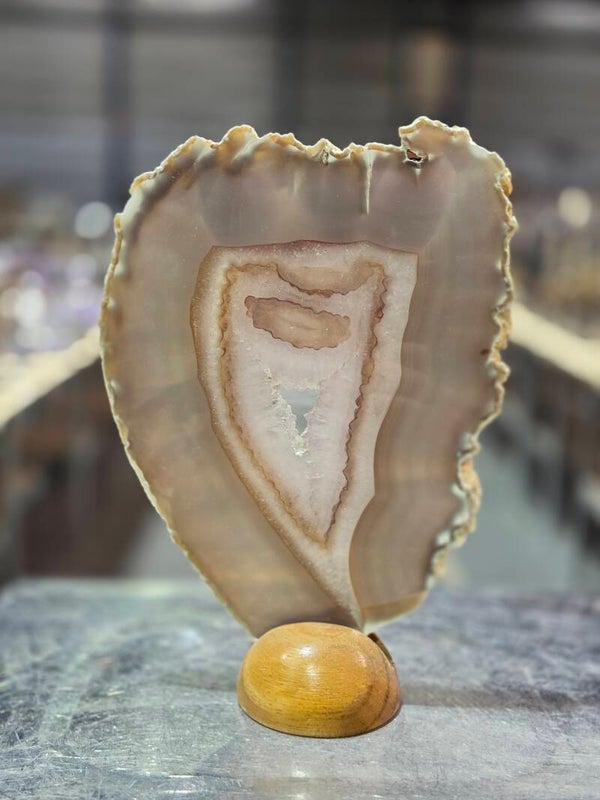 BF182 Agaatschijf in Houder