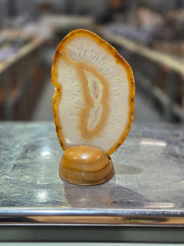 BF187 Agaatschijf in Houder