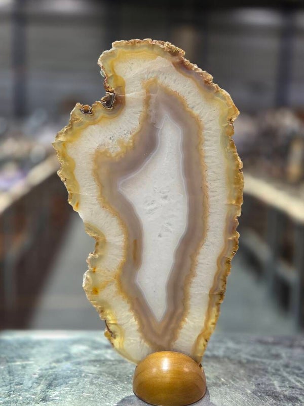 BF201 Agaatschijf in Houder