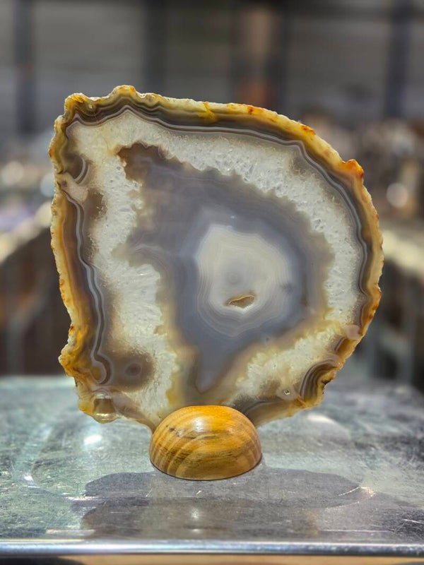 BF205 Agaatschijf in Houder