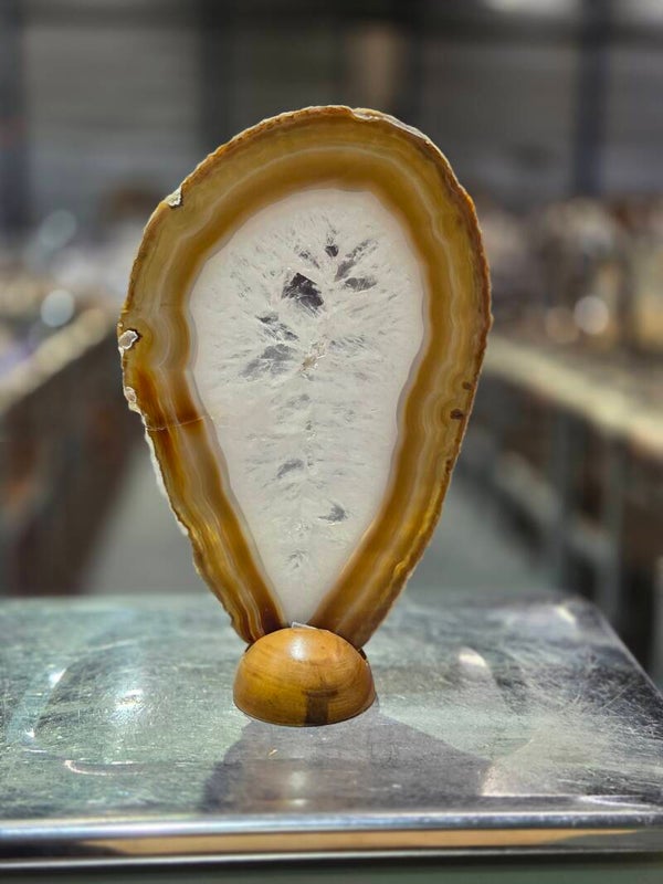 BF206 Agaatschijf in Houder