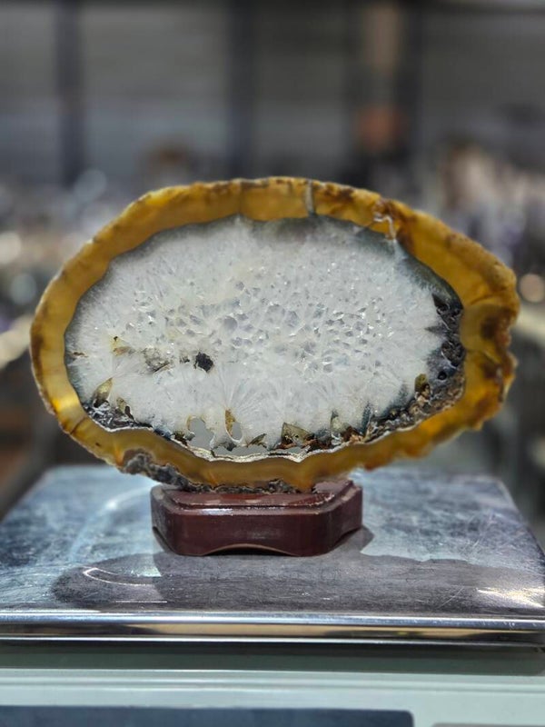 BF223 Agaatschijf in Houder