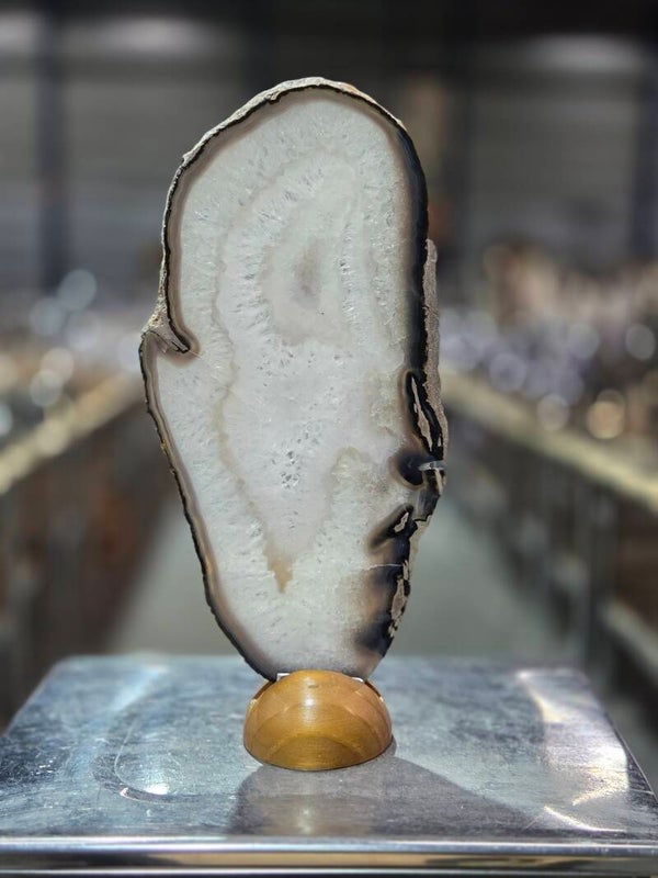 BF224 Agaatschijf in Houder