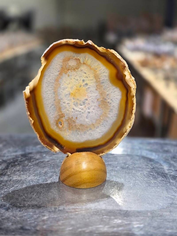 BF243 Agaatschijf in Houder