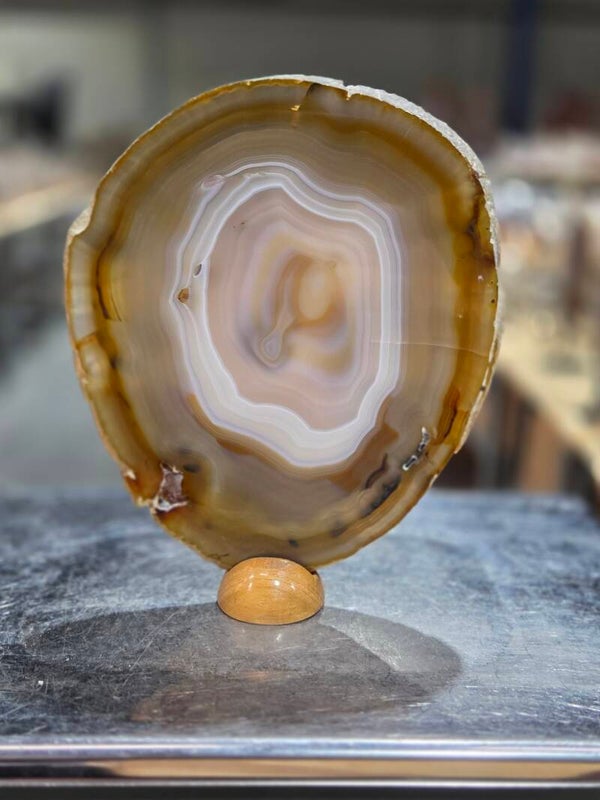 BF246 Agaatschijf in Houder