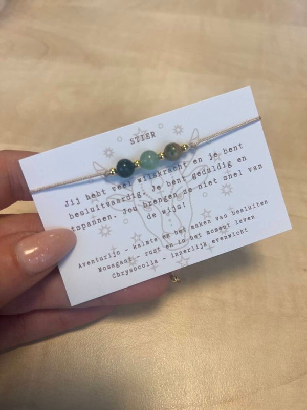 Stier armband (aventurijn, mosagaat, chrysocolla)