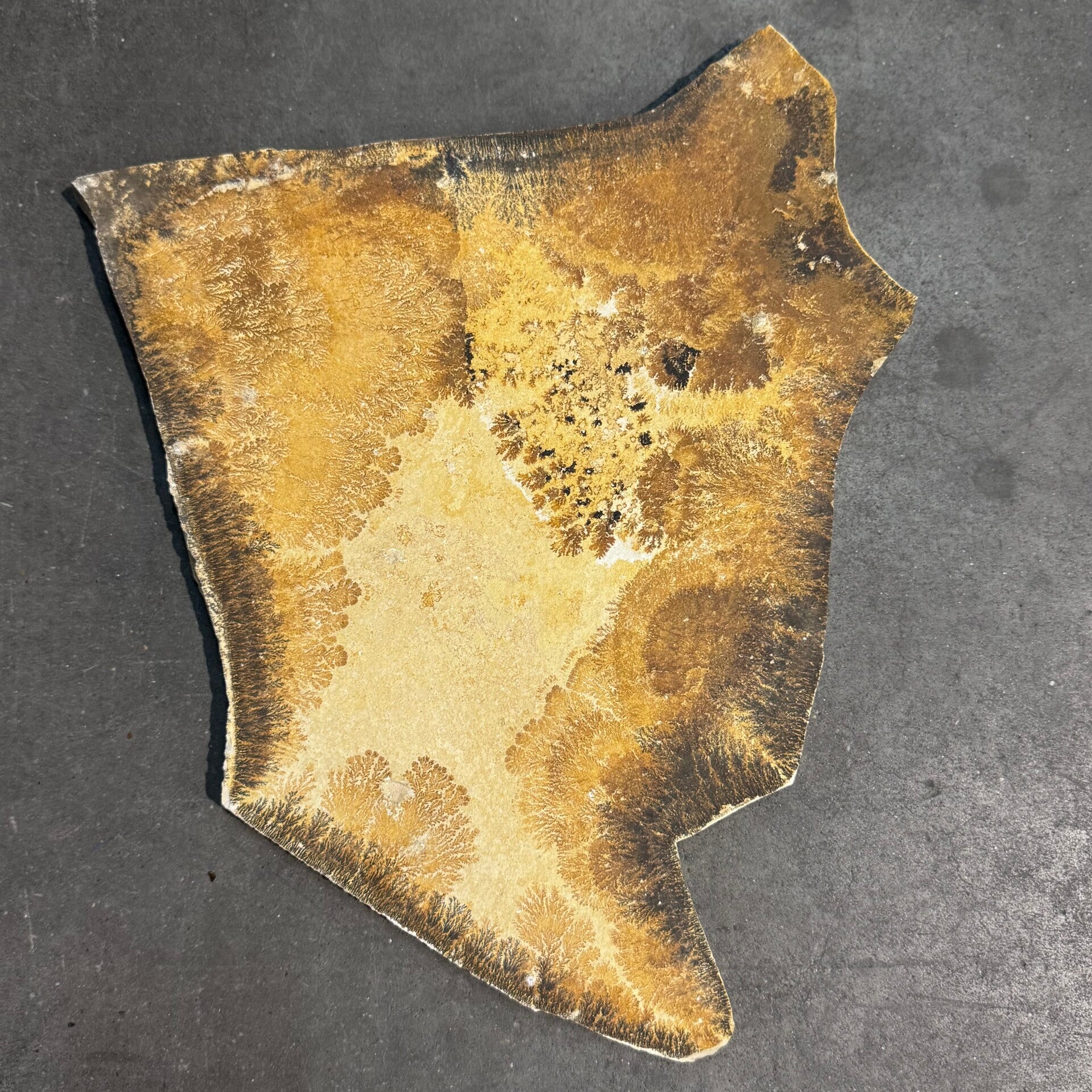 Leisteen met dendriet WS62