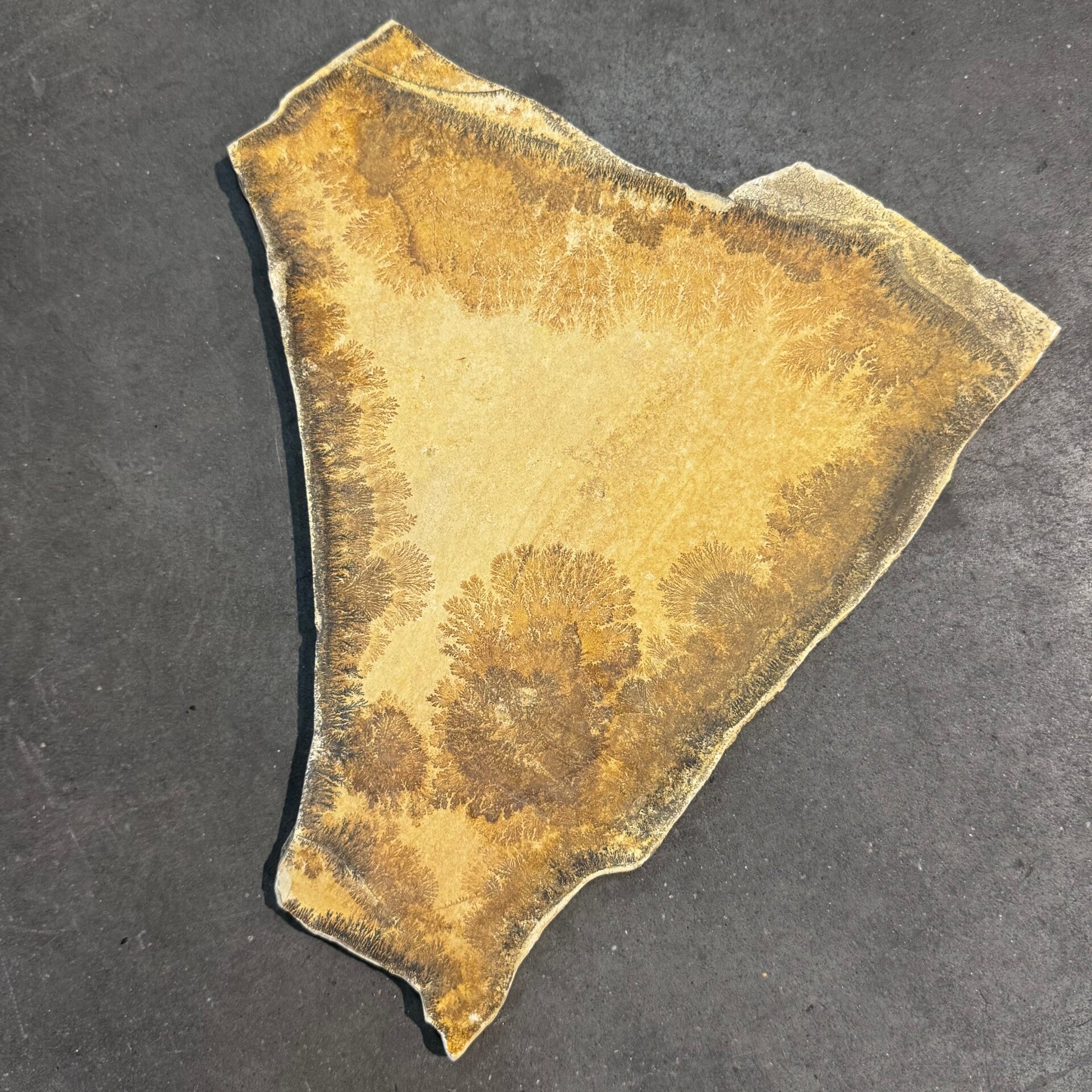 Leisteen met dendriet WS61