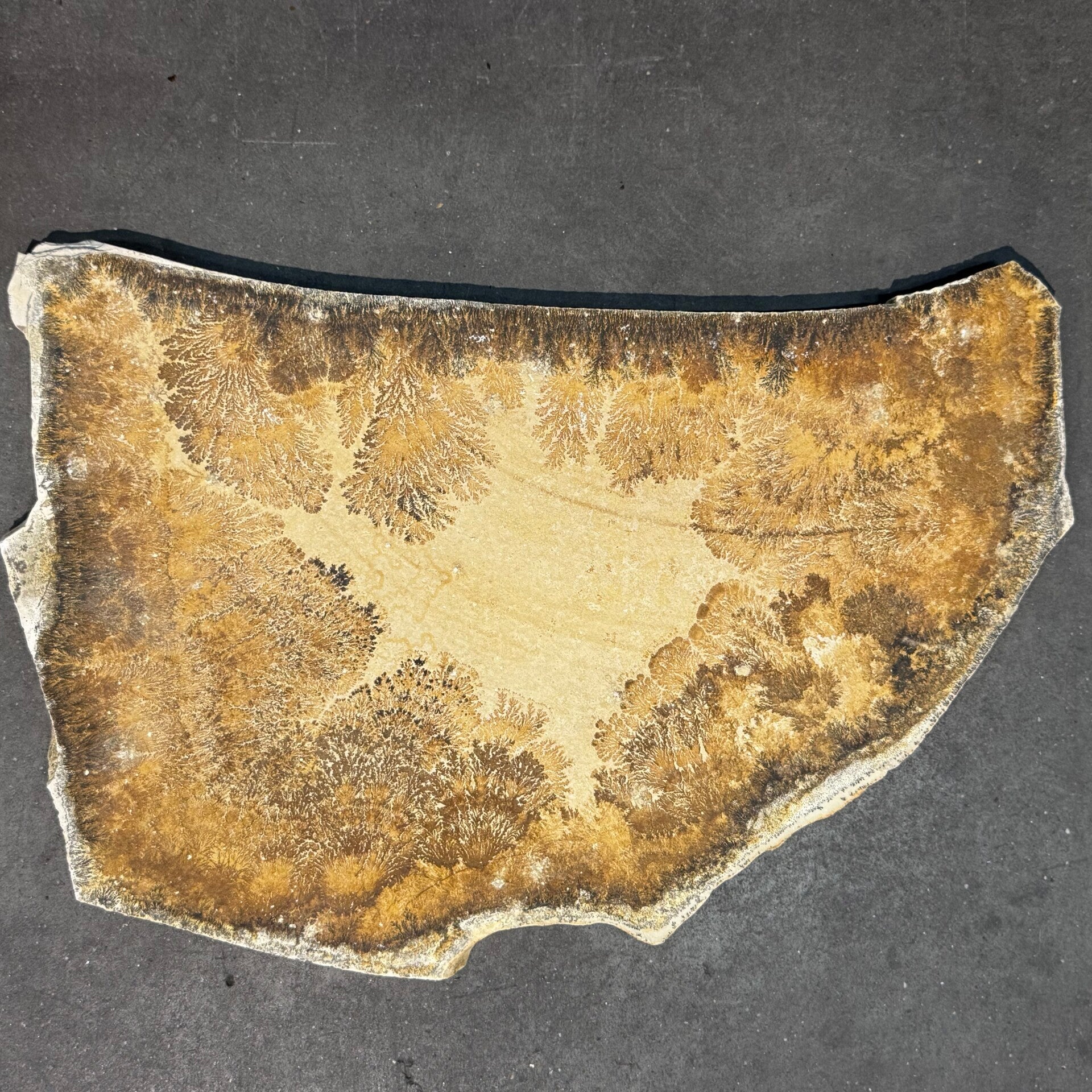 Leisteen met dendriet WS63