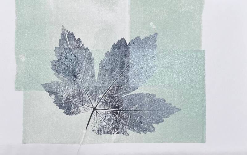 Leaf print in Charbonnel Aqua Wash inks on cartridge paper