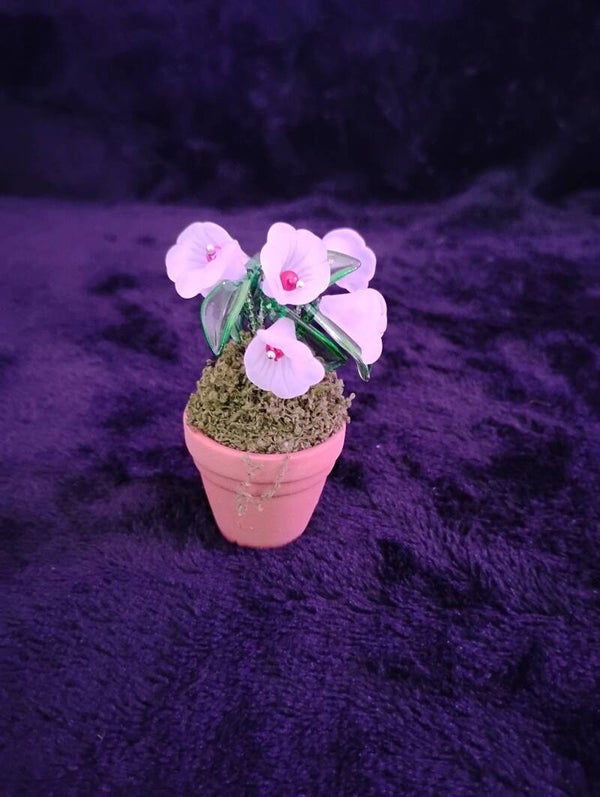Potted Plant