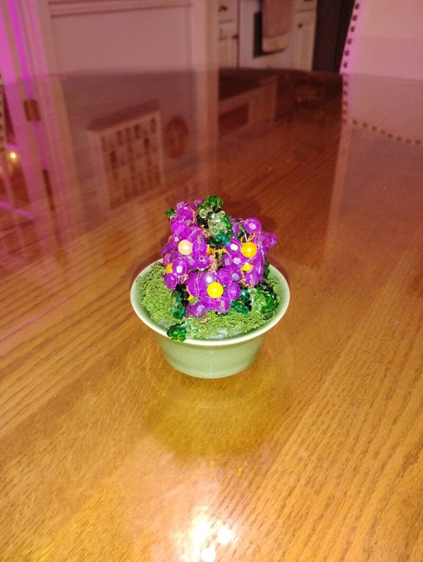Flowered Bush