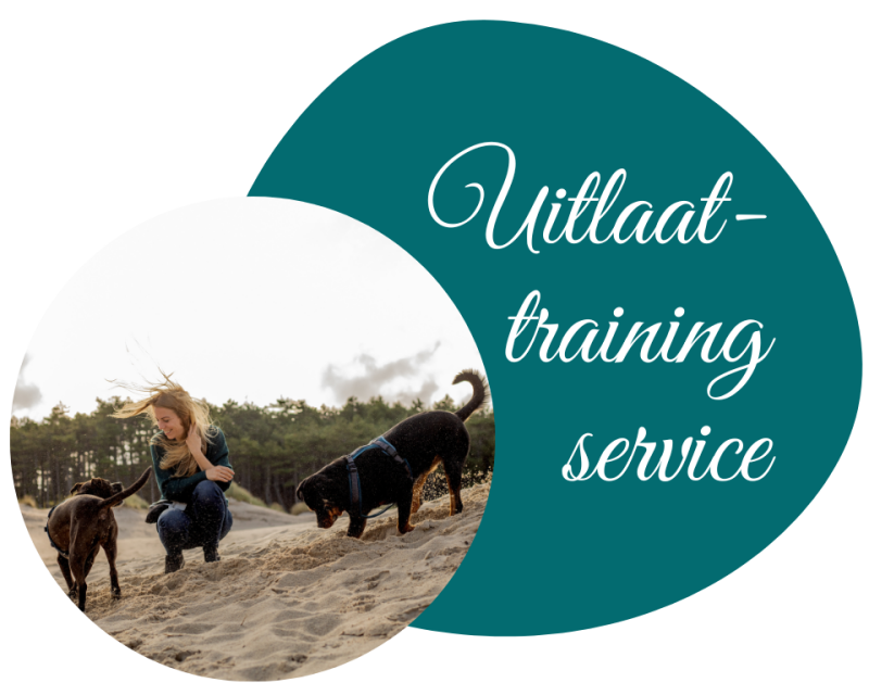 Individuele uitlaatservice privéwandelingen bij probleemgedrag van je hond