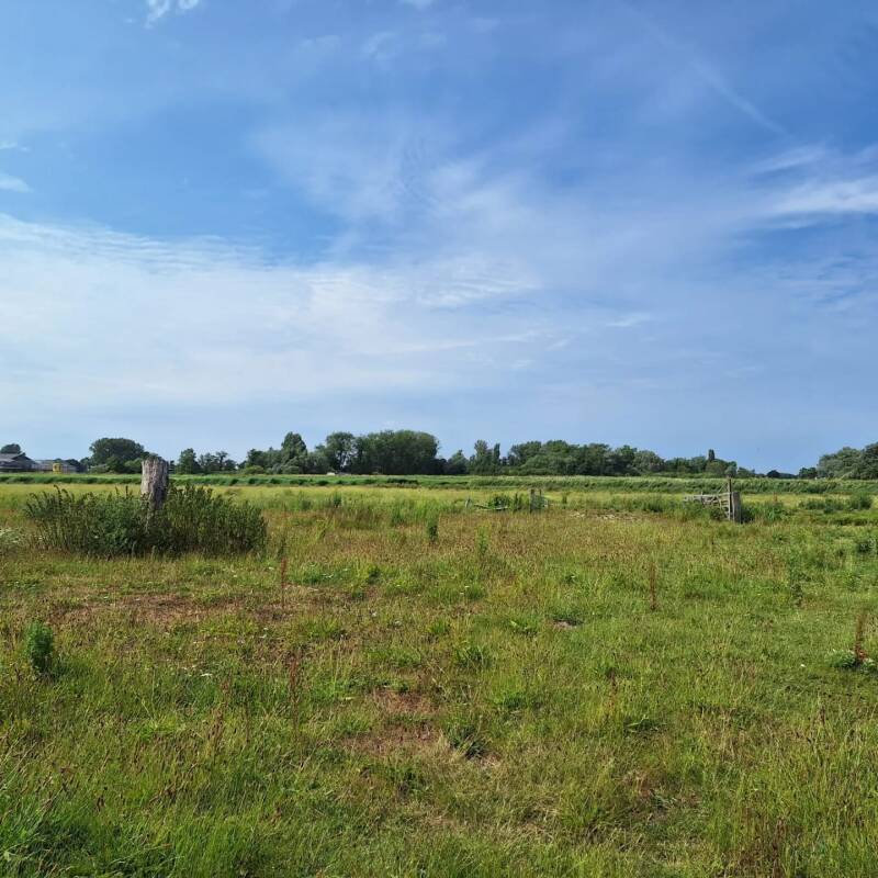 Privéles in Langedijk van een gediplomeerd en geaccrediteerd kynologisch gedragstherapeut