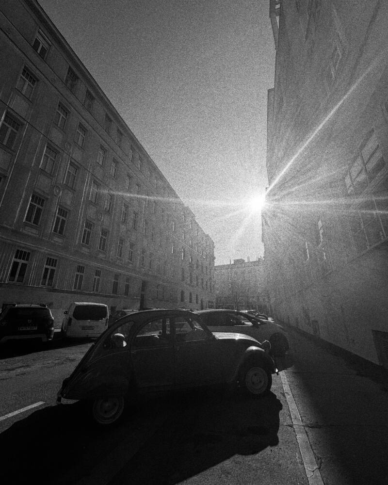 b93622f3-35f3-45c3-8d3b-cb1cff3e6928-standard-z4dg9g.jpg