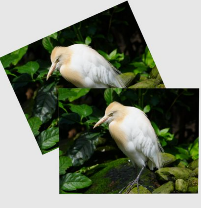 Postcard individual