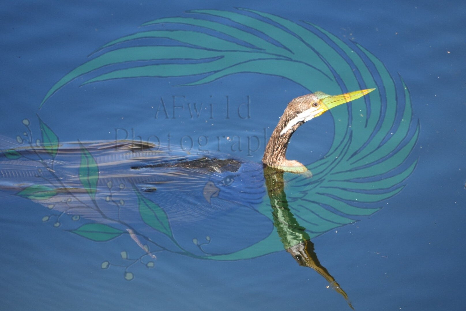 Canvas photo print - 30 X 40 cm