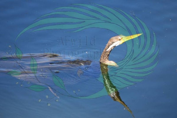 Canvas photo print - 30 X 40 cm
