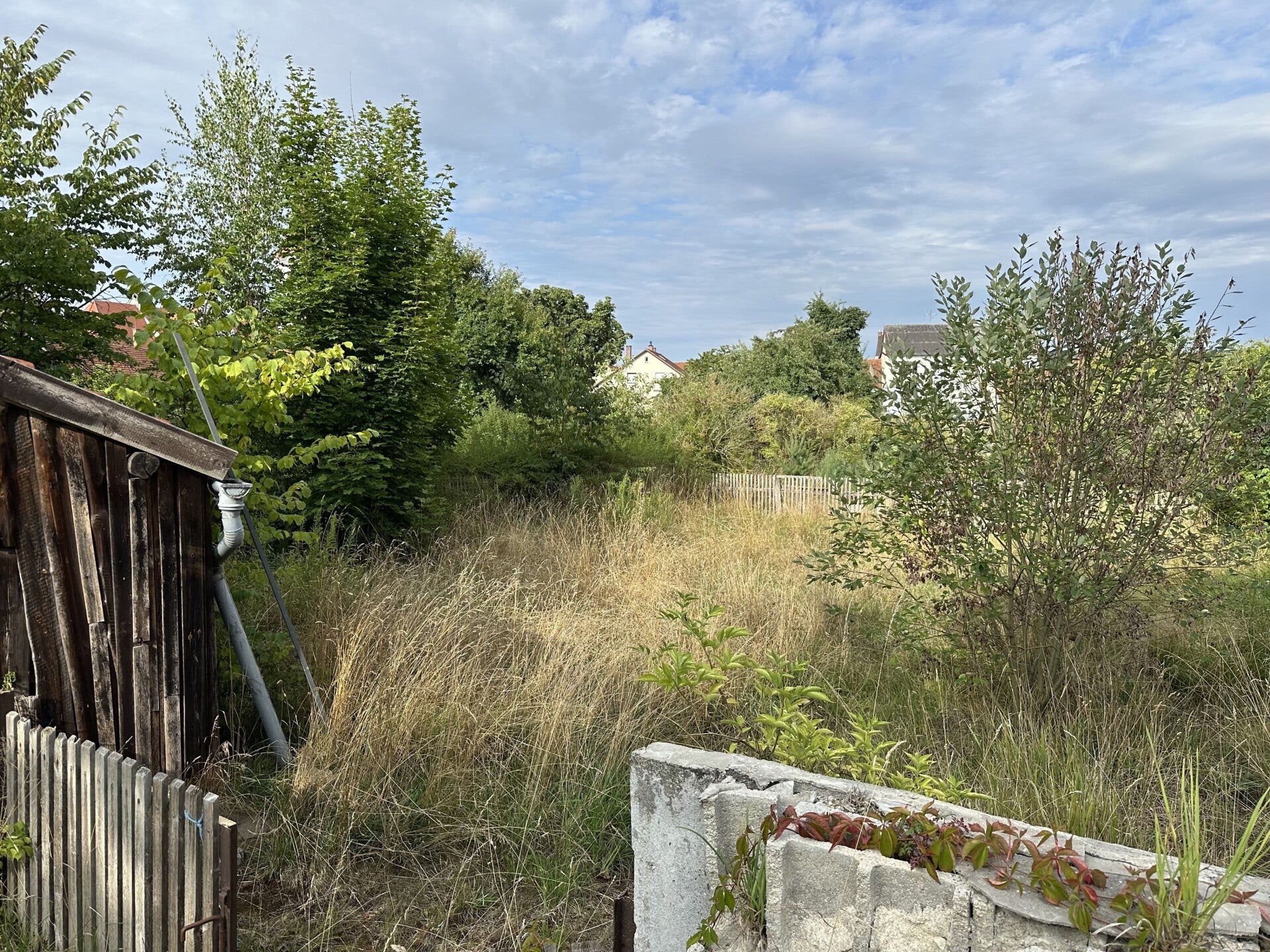 Lanschaftspfleche und Flächenrodung