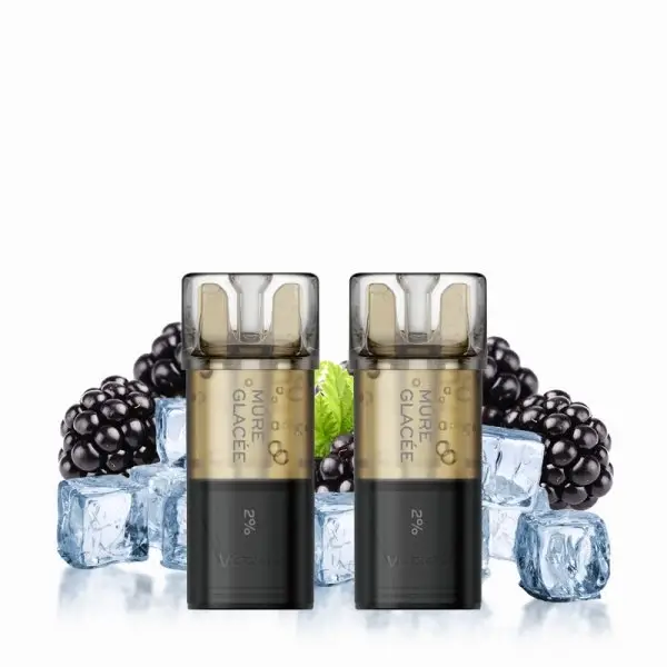 GRANDS GROUPES : POD VOZOL MÛRE GLACEE