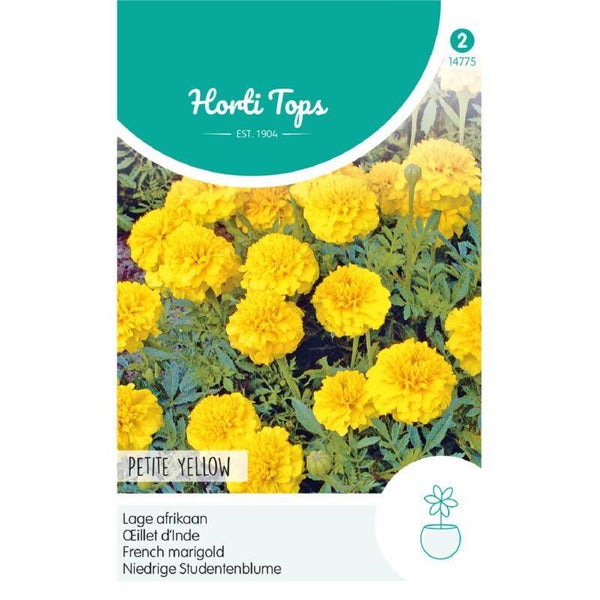 Horti Tops Tagetes, lage Afrikaan Petite Yellow