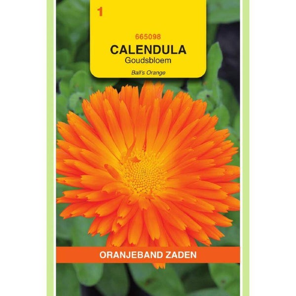 OBZ Calendula, Goudsbloem Ball's Orange Oranjeband zaden
