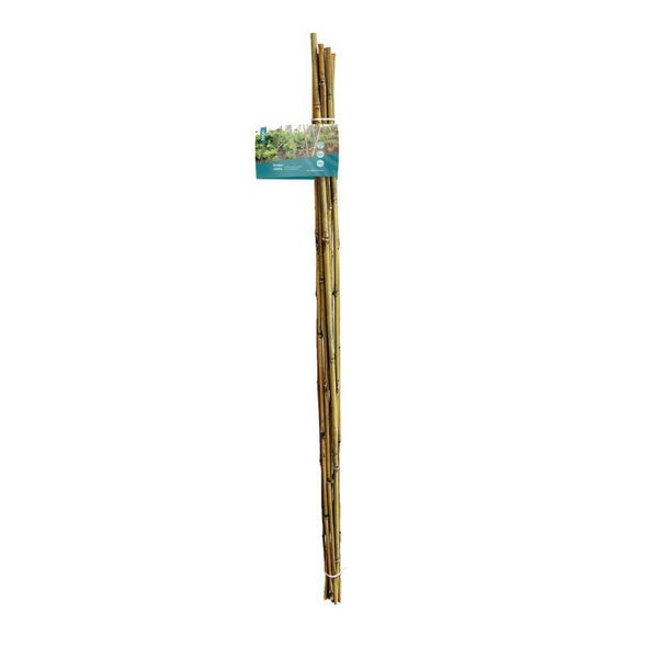 SOGO Tonkinstokken 90cm  10st