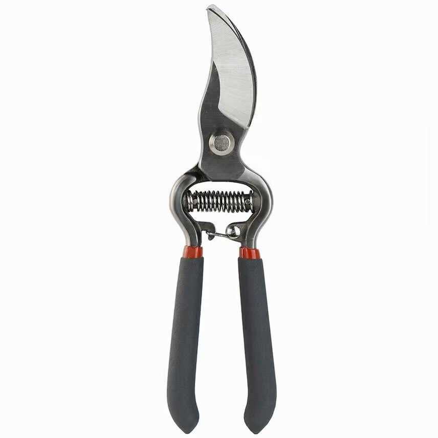 Snoeischaar Kent & Stowe