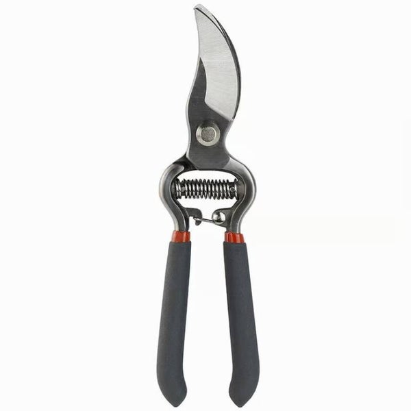 Snoeischaar Kent & Stowe