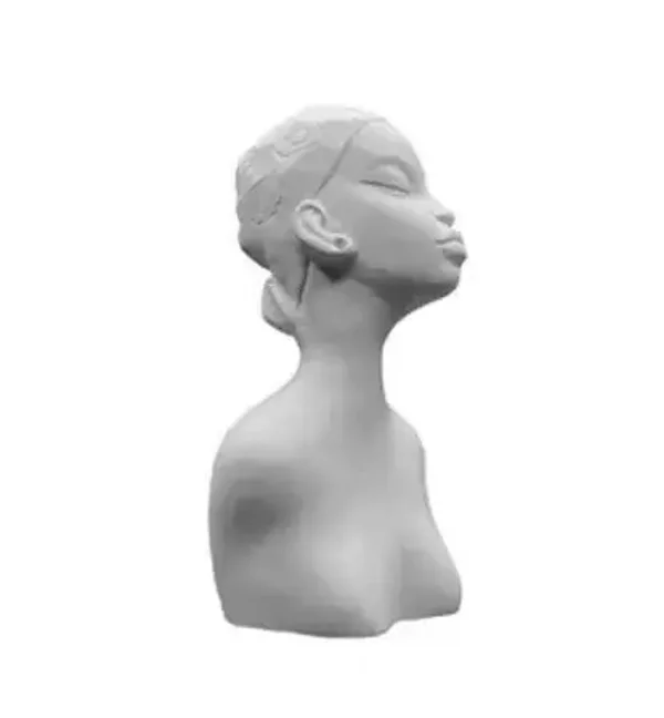 afrikaanse lady  12cm hoog