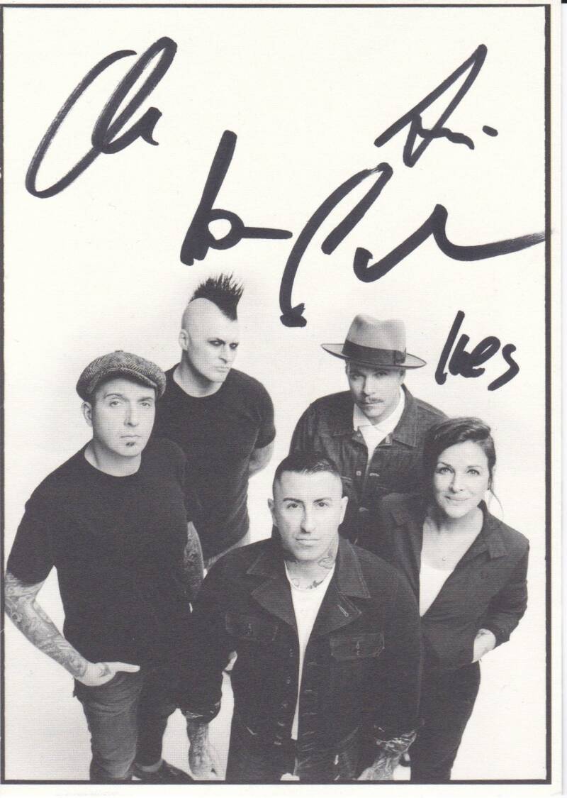 Broilers - Vorderseite