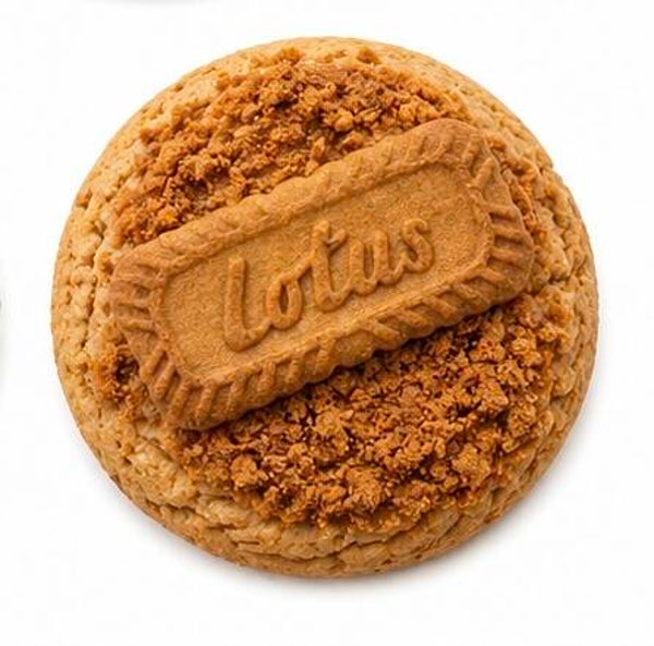 Jumbo Biscoff Cookie
