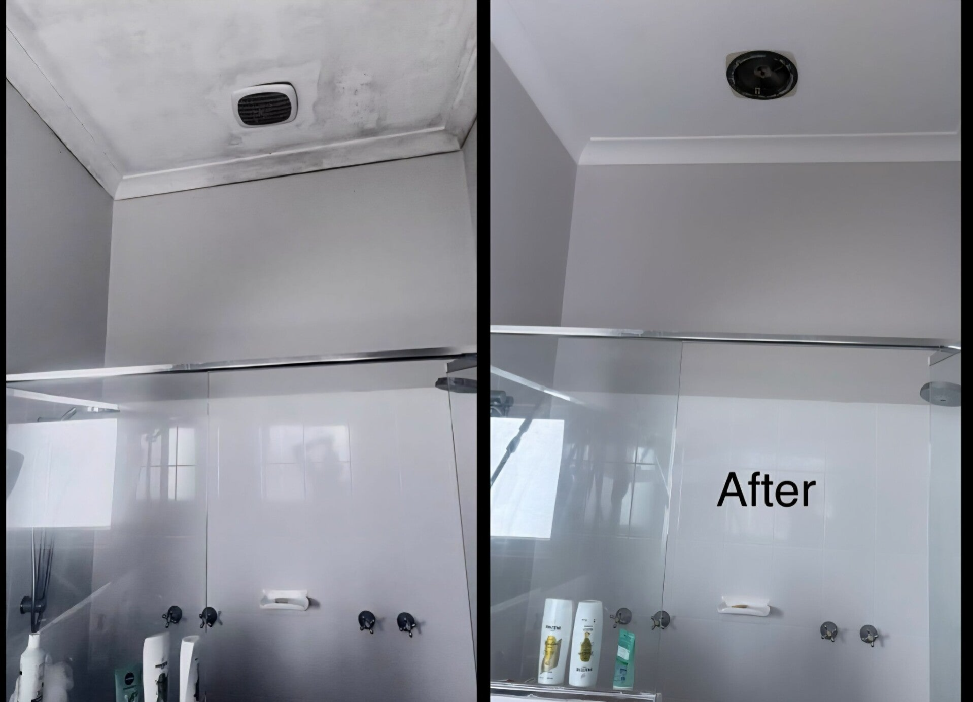 mould removal perth