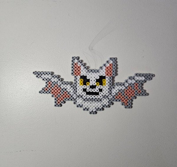 chauve-souris