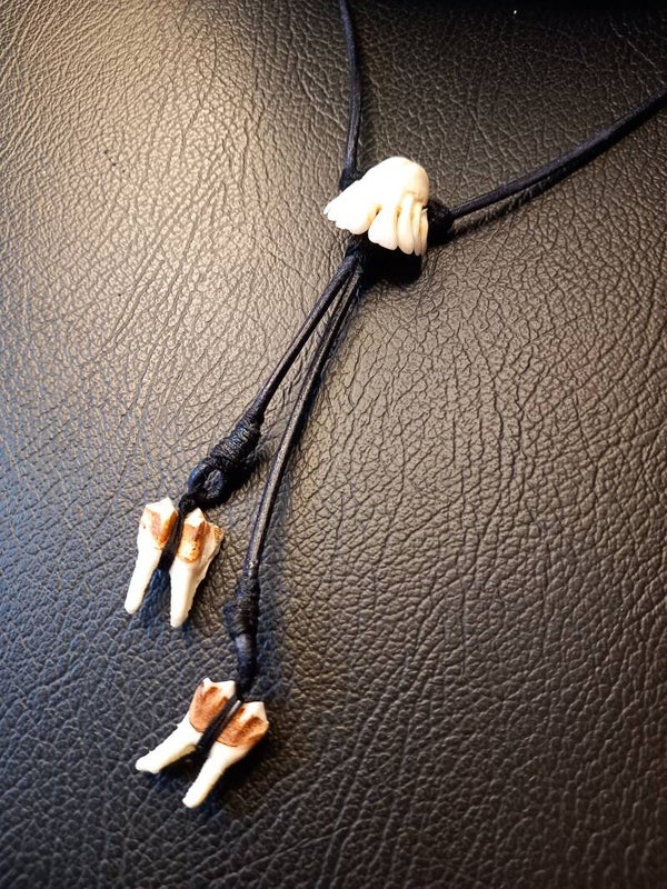 ▪︎ Roe Deer Teeth ▪︎ Necklace