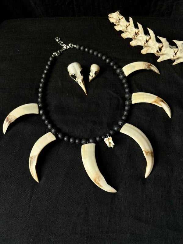 Wild Boar Tusk Necklace