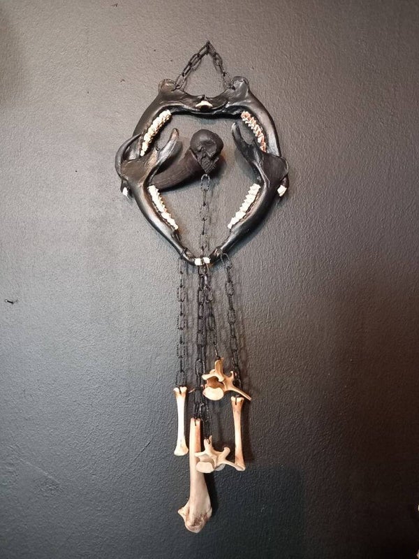 ◇ Taenia ◇ Nightmare Catcher