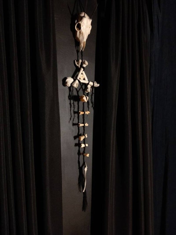 ◇ Scitalis ◇ Bone Hanger