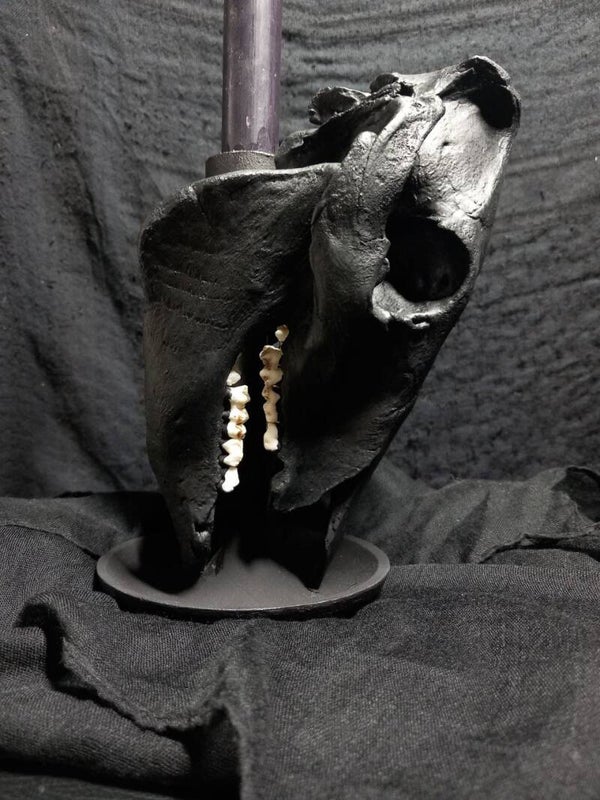 ◇ Varaha ◇ Candle Holder