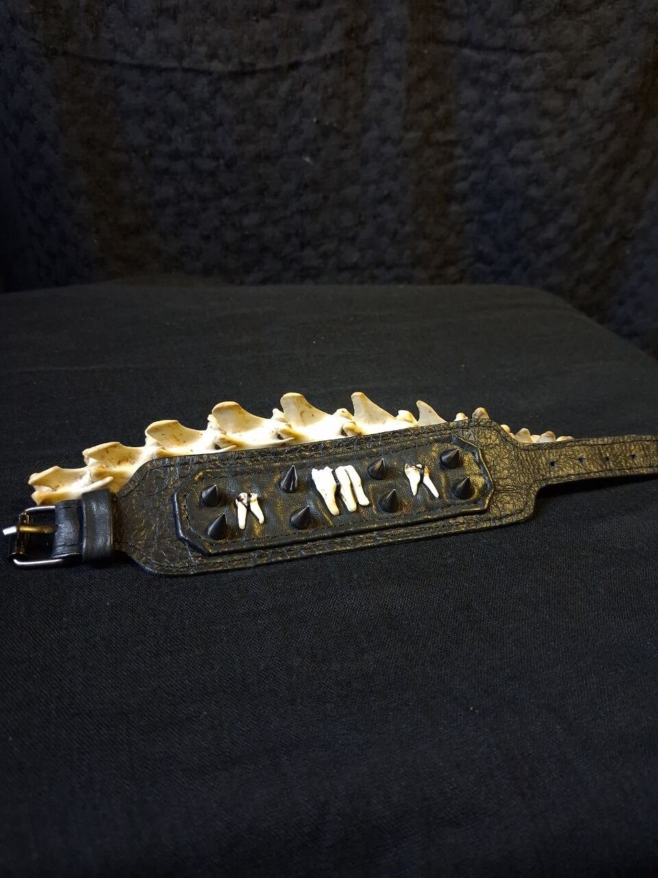 ◇ Black Payara ◇ Bracelet