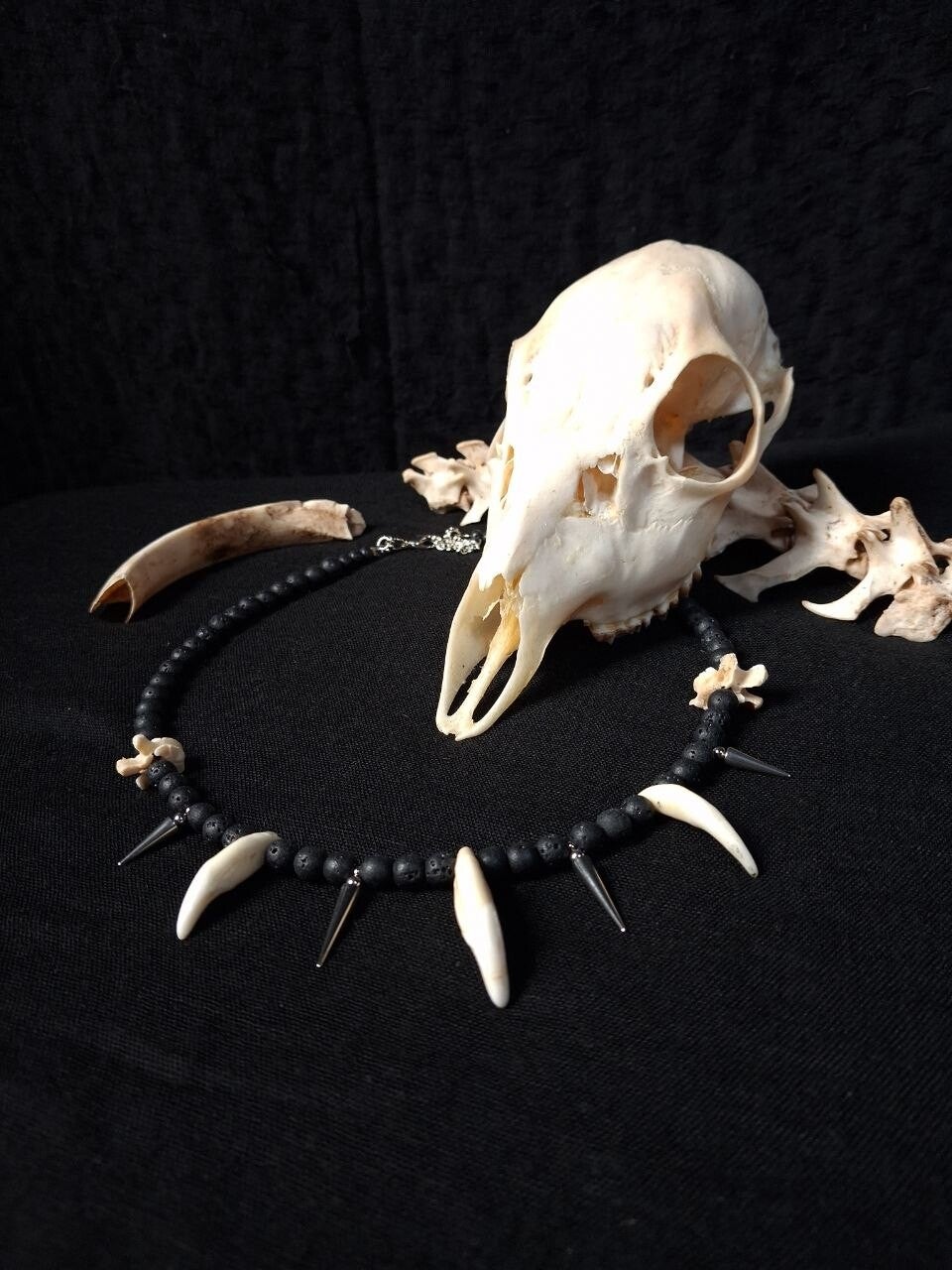 Fox Teeth and Spikes Necklace
