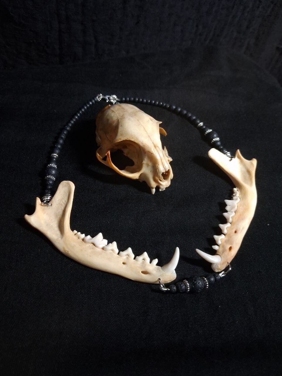Fox Mandibles Lava Beads Necklace