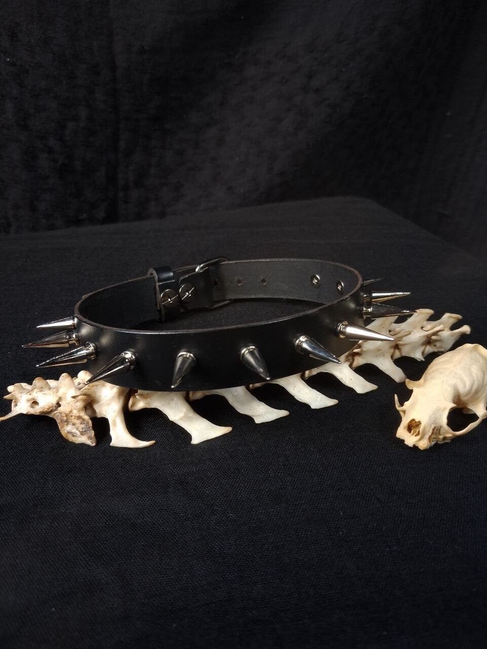 ◇ The Inquisitor ◇ Choker